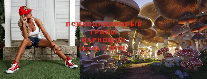 Галлюциногенные грибы Psilocybe  mega ONION  Нестеровская 